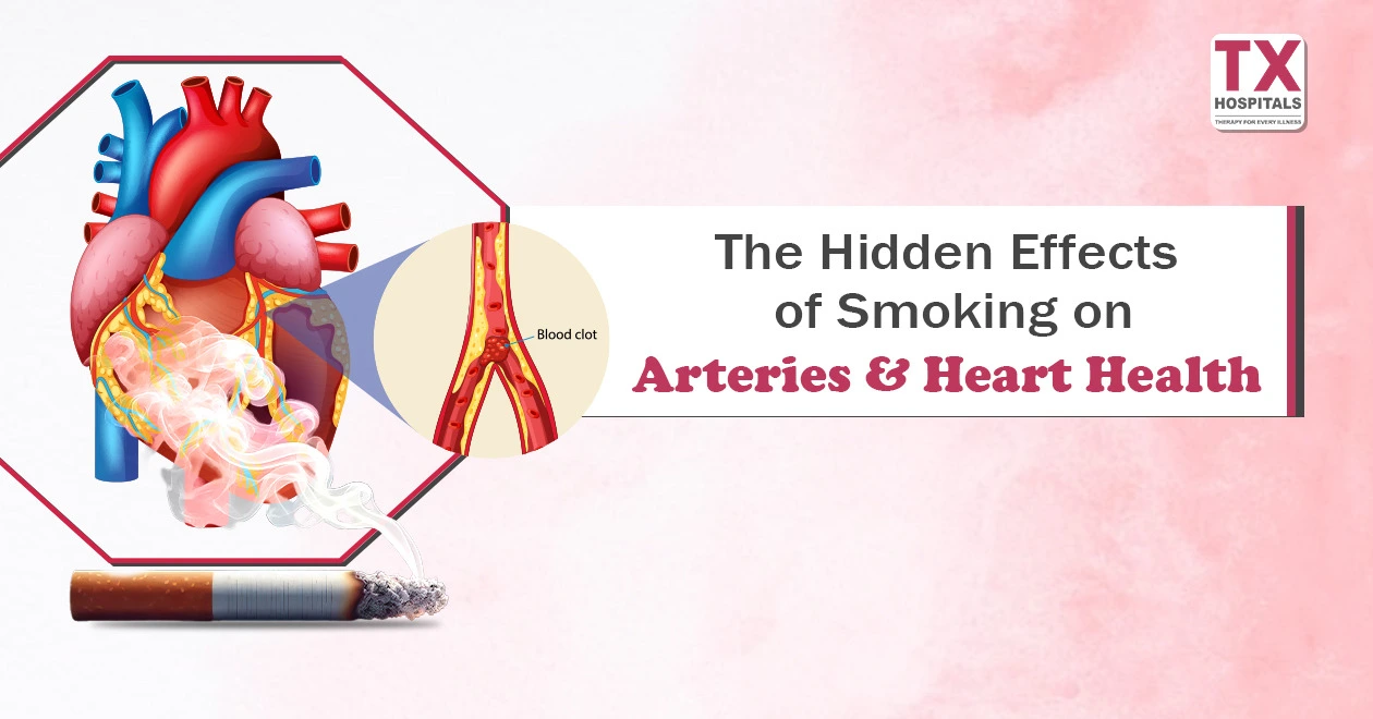 what does tobacco do to your circulatory system The Hidden Effects of Smoking on Arteries and Heart Health